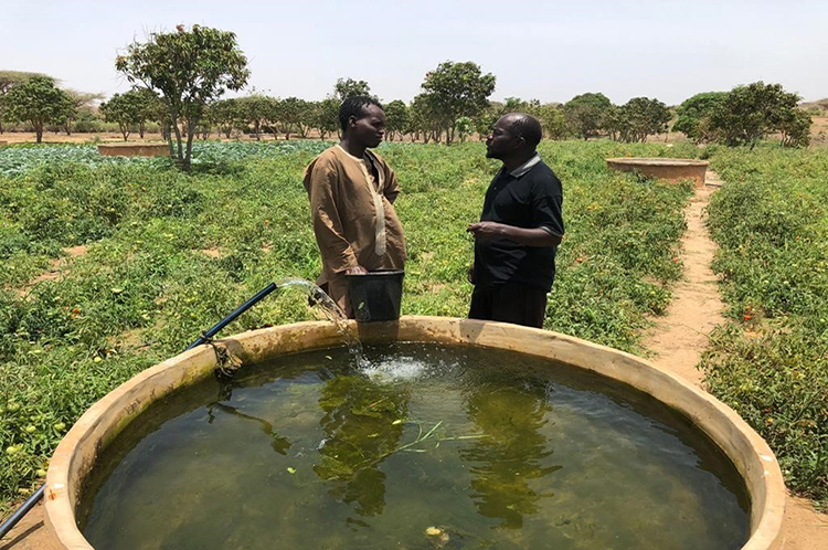 Solartech Solar Water Pumping and Irrigation System in Operation in Senegal