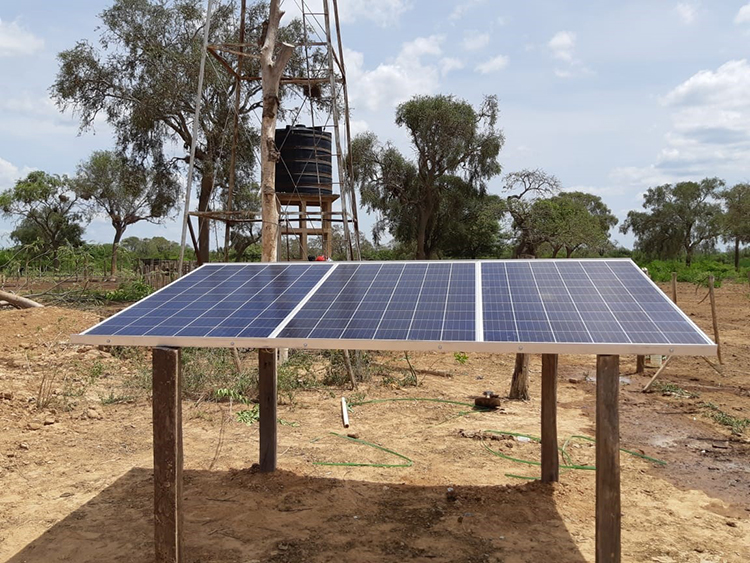 olartech Solar Water Pumping System for Livestock Breeding in Bolivia