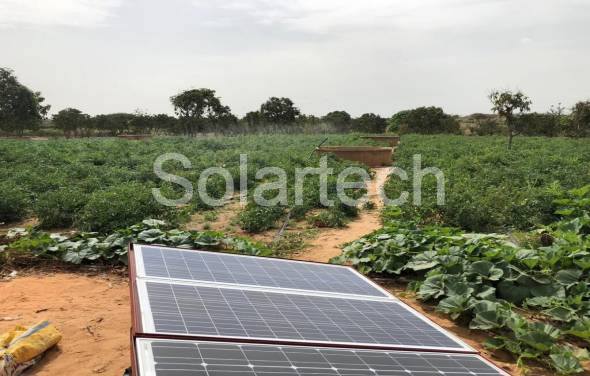 Solartech in Senegal: Solar Pumping System Improved People’s Livelihood