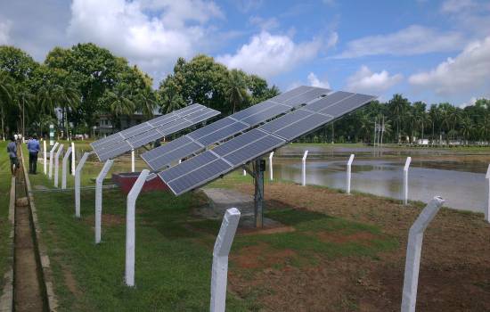 Bangladesh Backs Solar Pumps to Expand Irrigation