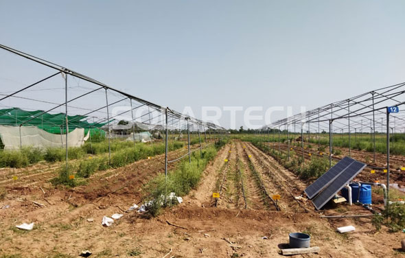 Solartech PB series solar water pumping system was selected as Pakistan's agricultural research project