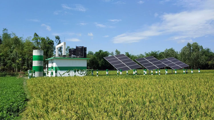 Bangladesh PB series solar agricultural irrigation project