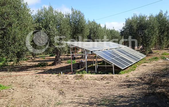 Application of Solartech solar precision irrigation system in Chilean olive plantation
