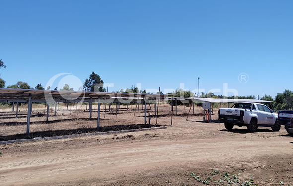Solar and Oil-fed Generator Complementary Power Supply Pumping System Helps Chilean Farm Pump Station Realize Clean Energy Application and Transformation