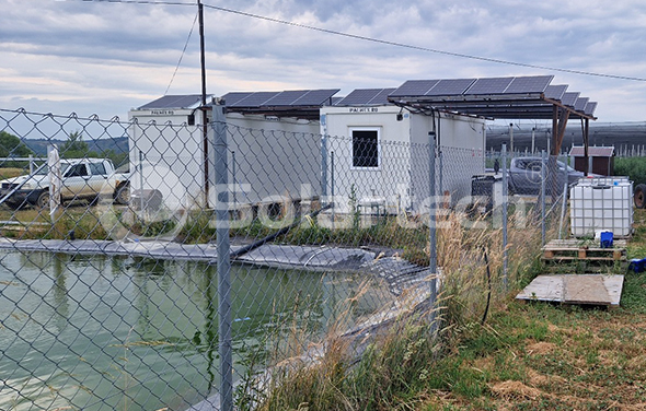 From Diesel to Solar: The Energy-Saving Transformation of a Romanian Blueberry Farm