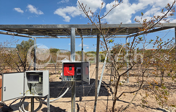 Solartech Enables Sustainable Pomegranate Farming in Cyprus