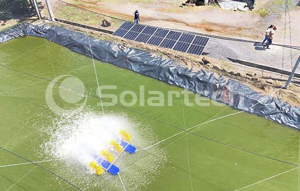Solartech OneStop Solar Aeration Pump System Helps Guatemala Solve Fishery Aeration Difficulties