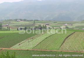 Green Solar Irrigation Farmland