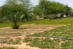 solar agricultural irrigation