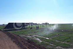 solar agriculture irrigation